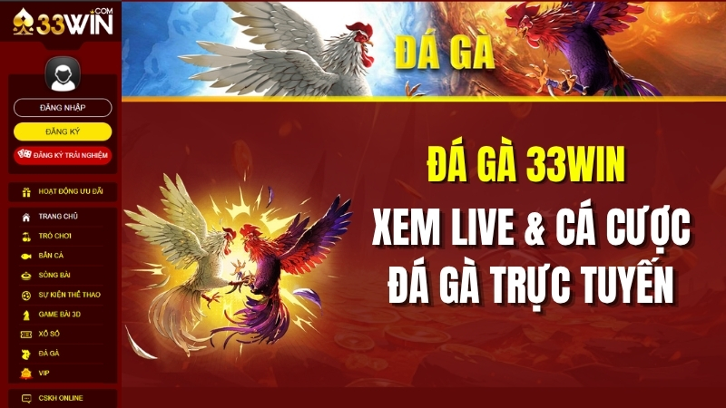 Đá Gà 33WIN – Xem Đá Gà Trực Tiếp, Cá Cược Đá Gà Online 24/7
